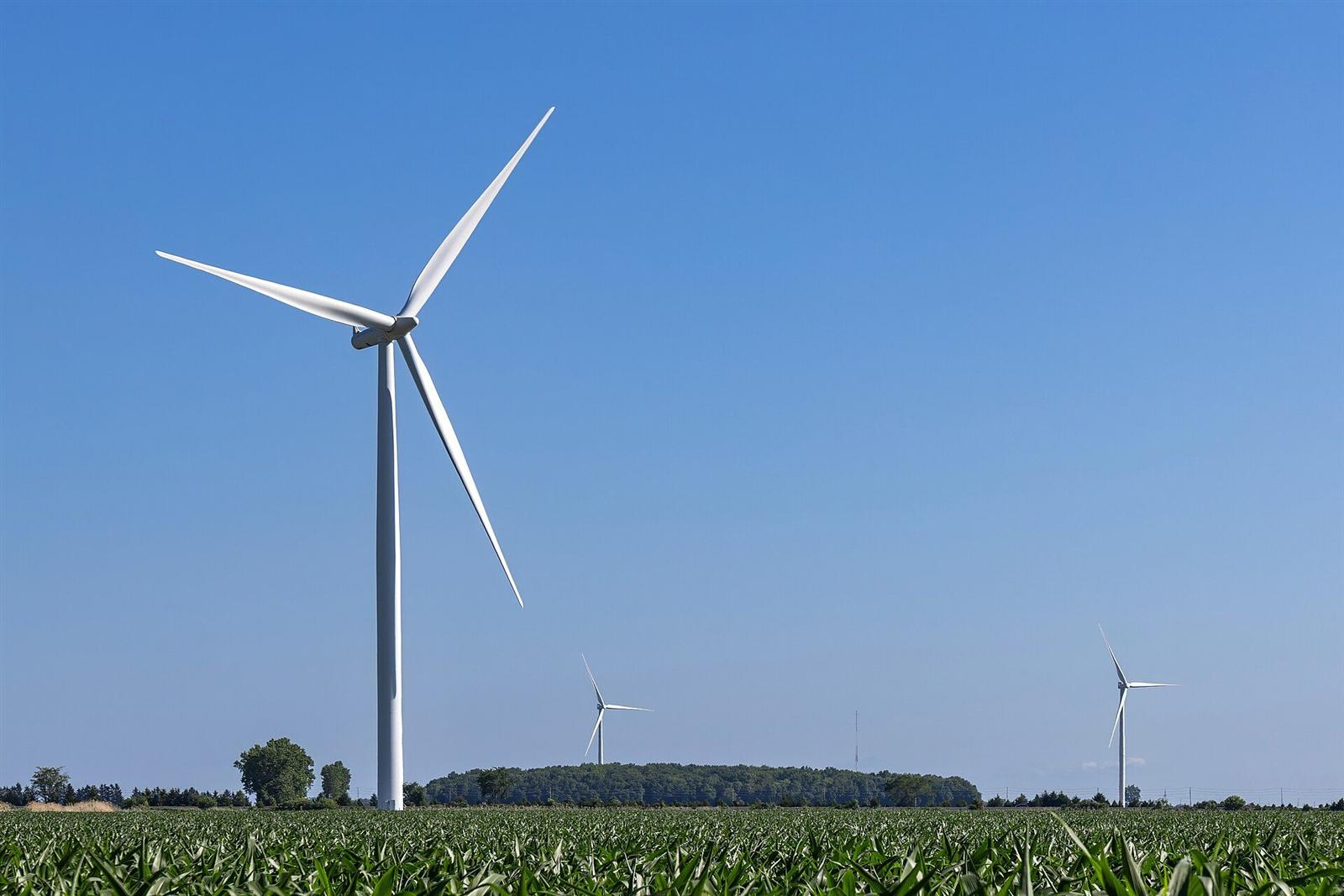 Wind turbines above agricultural fields along North Middle Road in Essex County, Ontario